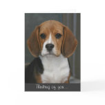 Beagle Portrait Card
