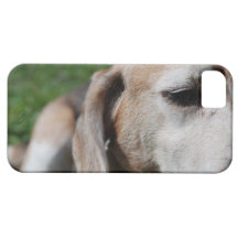 beagle portrait iPhone 5 case