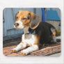 Beagle Portrait Mouse Pads