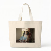 Beagle Posing bags