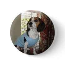 Beagle Posing buttons