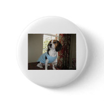 Beagle Posing buttons