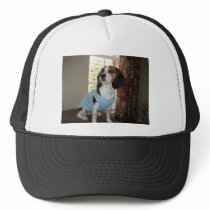 Beagle Posing hats by bachmans2 Beagle Posing hats