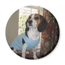 Beagle Posing magnets