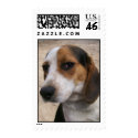 Beagle Postage postage by sunsett76 Beagle Postage postage