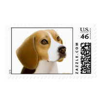 Beagle Postage Stamp
