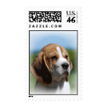 Beagle Postage Stamp