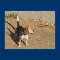 Beagle postcards by sumiko Beagle postcards