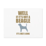 Beagle