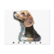 Beagle Post Cards