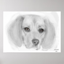 Beagle Poster
