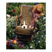 Beagle Poster In The Garden Chair posters