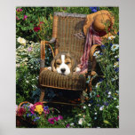 Beagle Poster In The Garden Chair