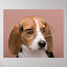 Beagle Print