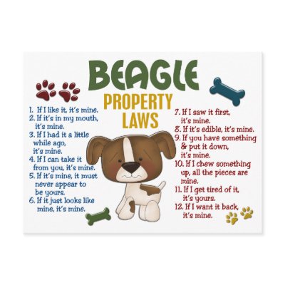 Beagle Property Laws 4 Post Cards by poochloverstuff