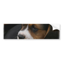 Beagle Pup Bumper Sticker