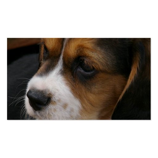 Beagle Pup Business Card (back side)