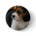 Beagle Pup Button