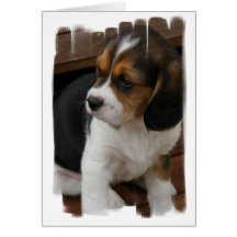 Beagle Pup Greeting Card