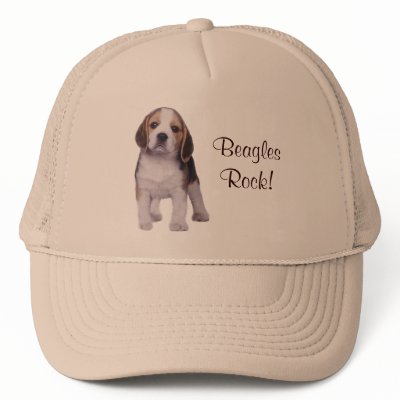 Beagle Pup Hat by normagolden