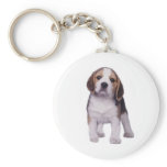 Beagle Pup Keychain
