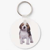 Beagle Pup Keychain by normagolden Beagle Pup Keychain