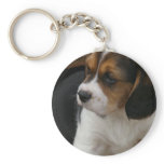 Beagle Pup Keychain
