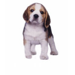 Beagle Pup Kids T-Shirt