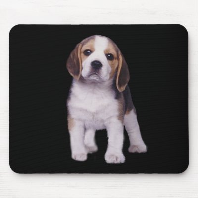 Beagle Pup Mousepad by normagolden