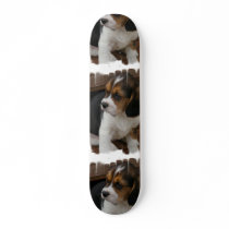 Beagle Pup on a Skateboard