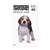 Beagle Pup Postage Stamp
