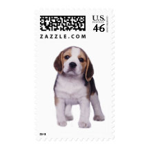 Beagle Pup Postage Stamp
