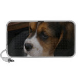 Beagle Pup Speakers