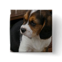 Beagle Pup Square Pin