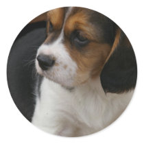 Beagle Pup Sticker