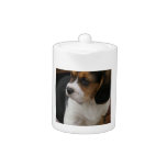 Beagle Pup Teapot