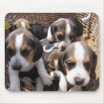 beagle puppies mouse pad