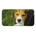 Beagle Puppy Barely There™ iPhone 4 Case
