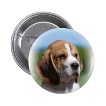 Beagle Puppy Button