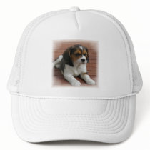 Beagle Puppy Dog Baseball Hat