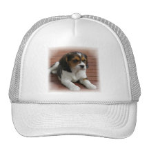 Beagle Puppy Dog Baseball Hat