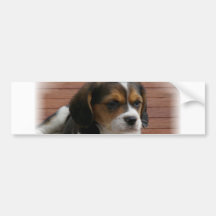 Beagle Puppy Dog Bumper Sticker