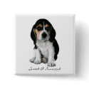 Beagle Puppy Dog Button by ironydesignphotos Beagle Puppy Dog Button