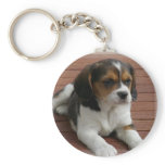 Beagle Puppy Dog Keychain