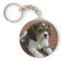 Beagle Puppy Dog Keychain