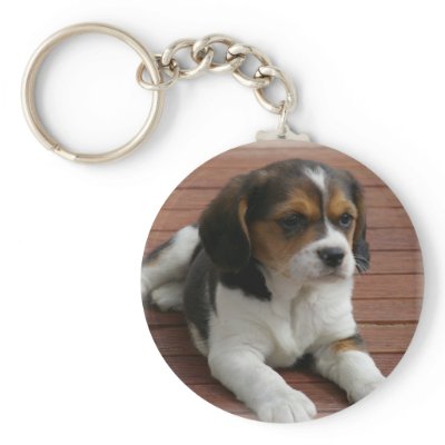 Beagle Puppy Dog Keychain by DogPoundGifts