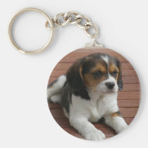 Beagle Puppy Dog Keychain