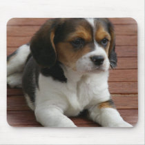 Beagle Puppy Dog Mouse Pad