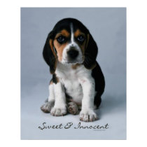 Beagle Puppy Dog Poster posters
