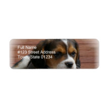 Beagle Puppy Dog Return Address Label